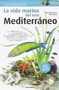 La Mejor Seleccion De Peces Mediterraneo 20 Recomendados